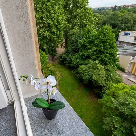 Apartment Apartman Deark *